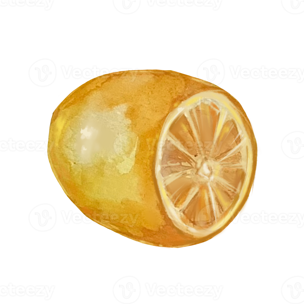 illustrazione ad acquerello di limone png