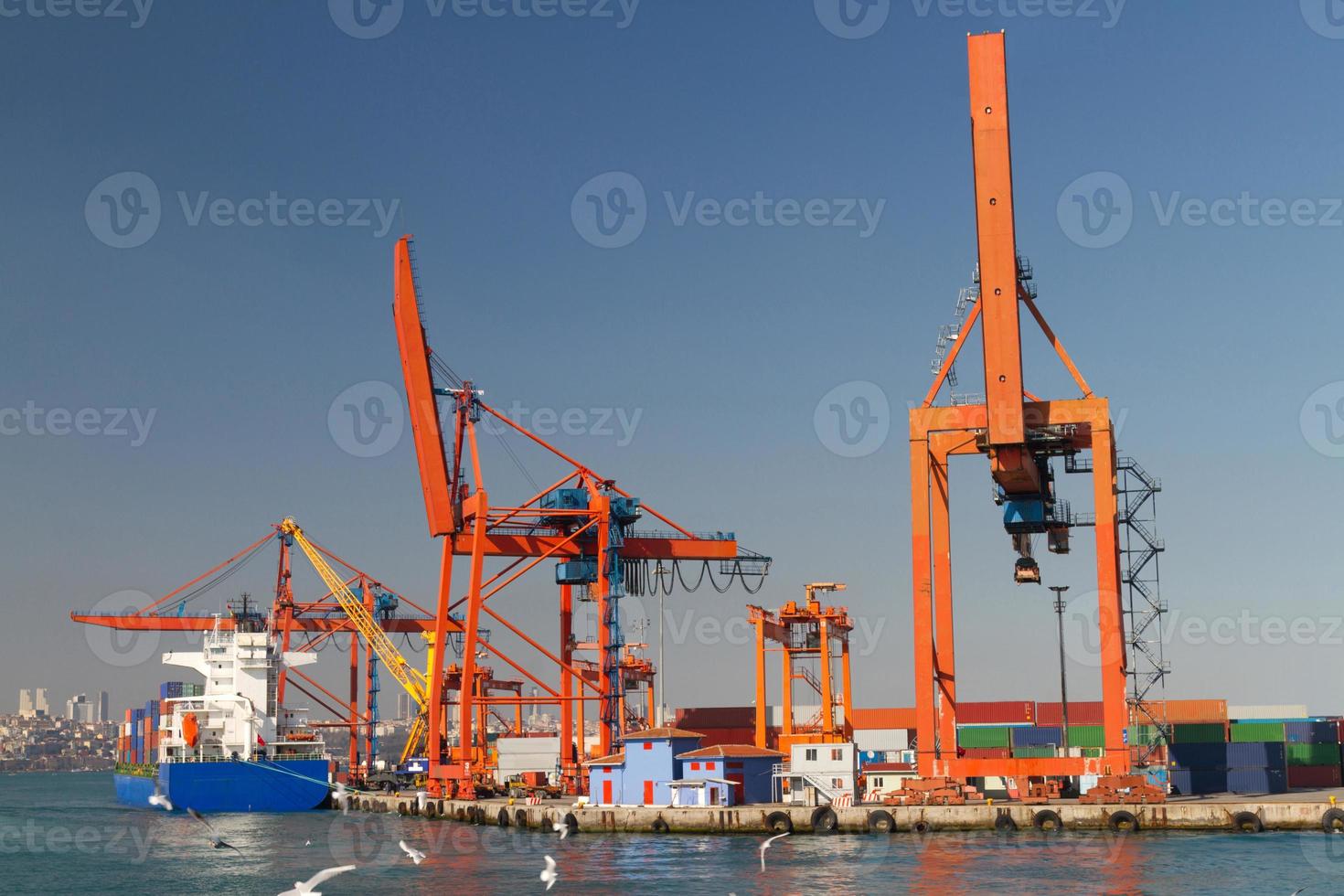 Cranes in Port photo