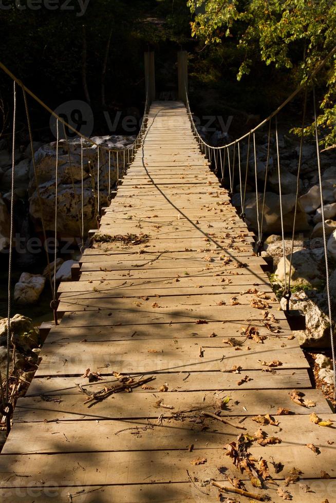 puente de madera en bosque foto