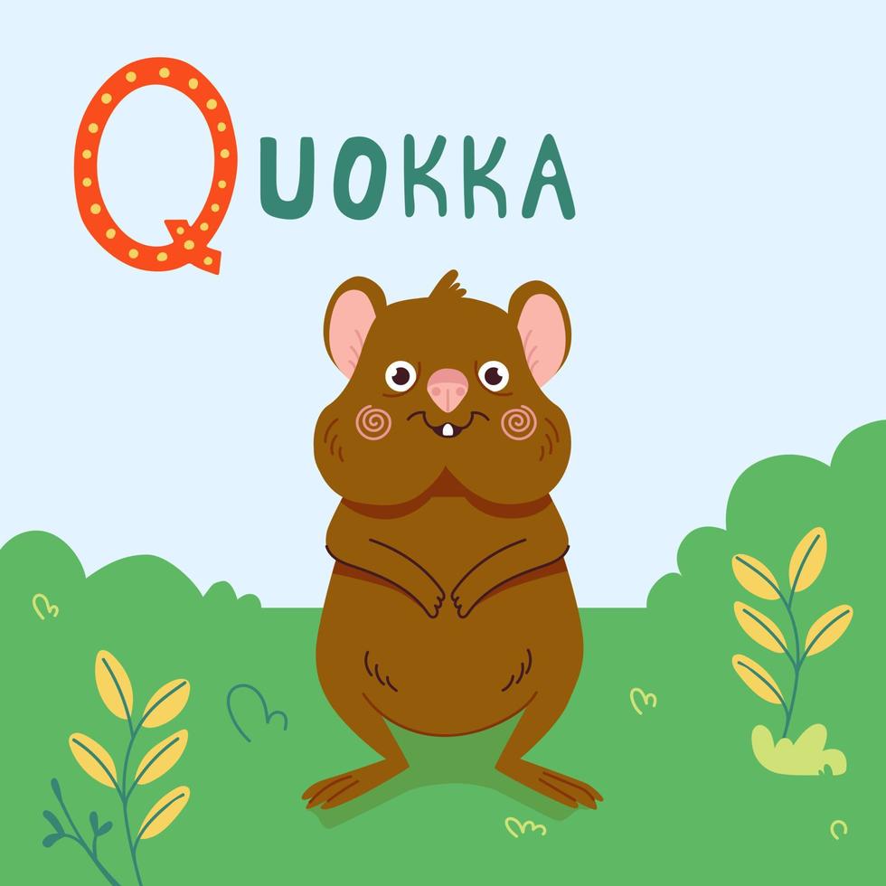 linda ilustración vectorial de dibujos animados de animales quokka. animal quokka australiano sobre hierba verde vector