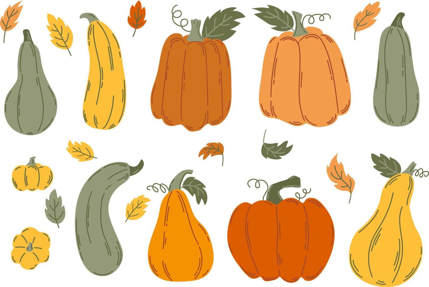 conjunto de calabazas de otoño al estilo plano para el diseño y la decoración vector