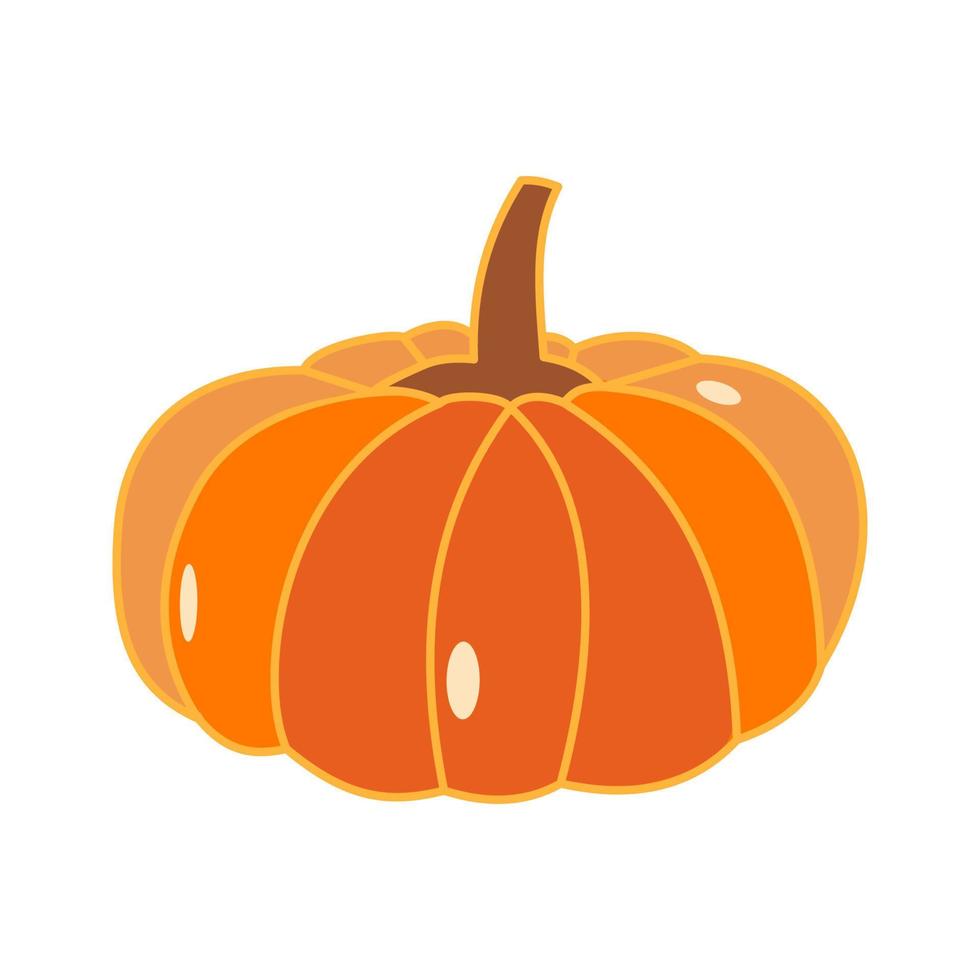 Pumpkin in flat technique vector