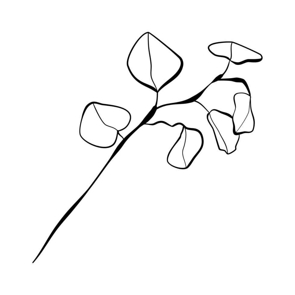 Branch of eucalyptus leaves in doodle technique vector