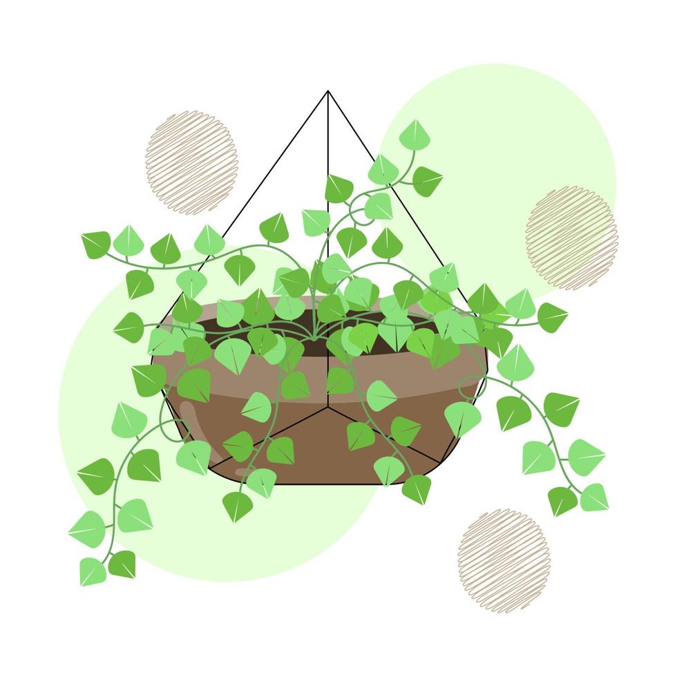 Hand drawn hanging plants in the pot. Isolated house plants for interior background. vector