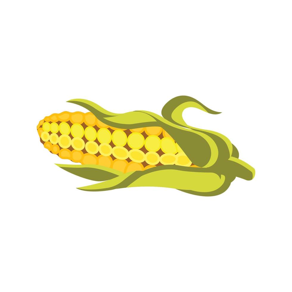 Isolated on a white background, vector flat illustration of corn.