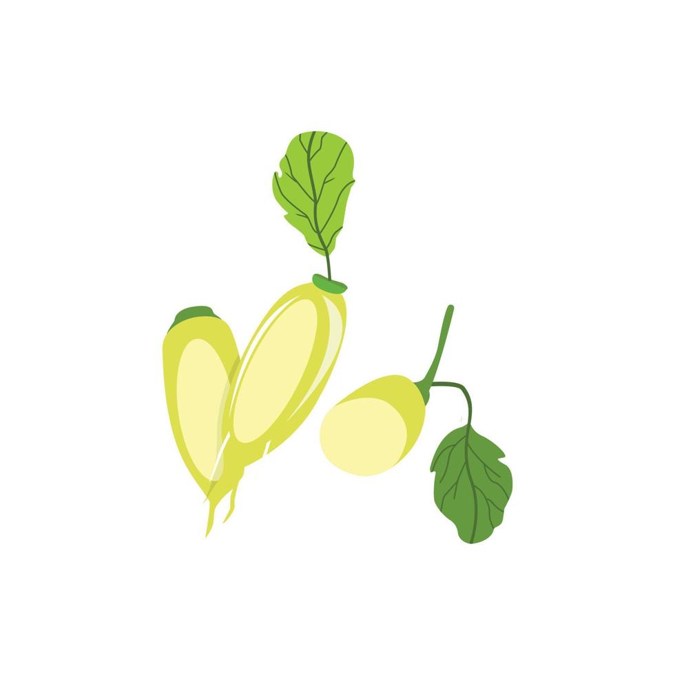 Long tubers of Japanese daikon radish with leaves Large Asian root vegetable with leaves Icon of fresh raw food. on a white background vector