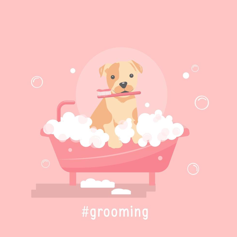 Pet grooming vector illustration with cute dog