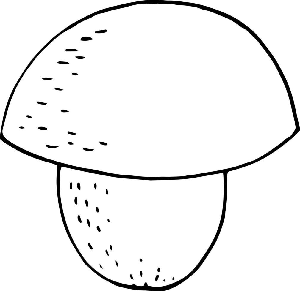 boletus mushroom sketch hand drawn doodle. single element for design card, icon, poster, , monochrome, minimalism. nature plant food vector