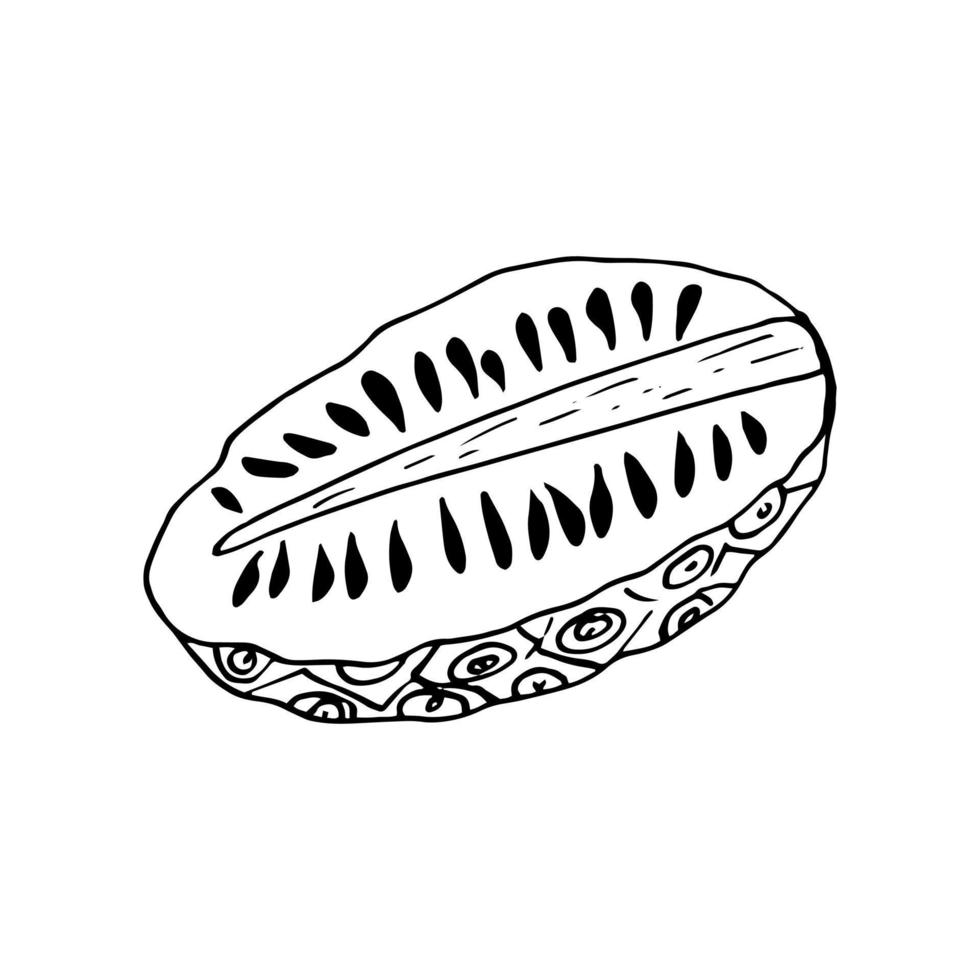 garabato dibujado a mano de fruta de noni. , minimalismo, escandinavo, monocromo, nórdico, icono de esbozo etiqueta adhesiva superalimento aislado vector