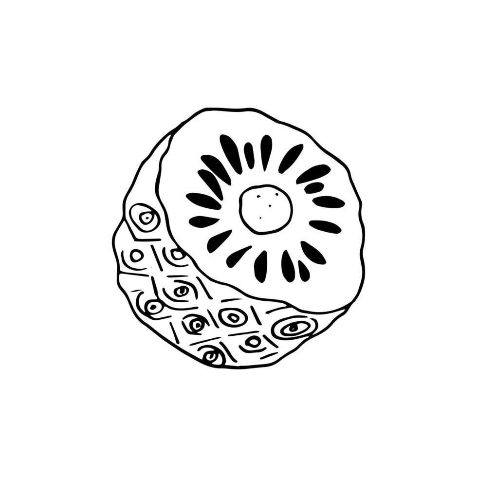 garabato dibujado a mano de fruta de noni. , minimalismo, escandinavo, monocromo, nórdico, icono de esbozo etiqueta adhesiva superalimento aislado vector