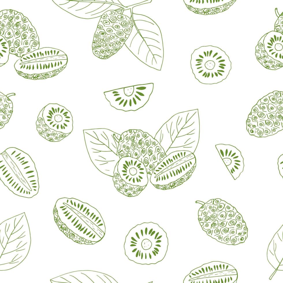 garabato dibujado a mano de patrones sin fisuras de fruta noni. , minimalismo, escandinavo, monocromo, boceto. papel pintado, papel de envolver textil fondo superalimento comida vector