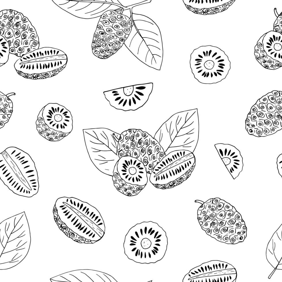 noni fruit seamless pattern hand drawn doodle. , minimalism, scandinavian, monochrome, nordic, sketch. wallpaper, textile wrapping paper background superfood food vector
