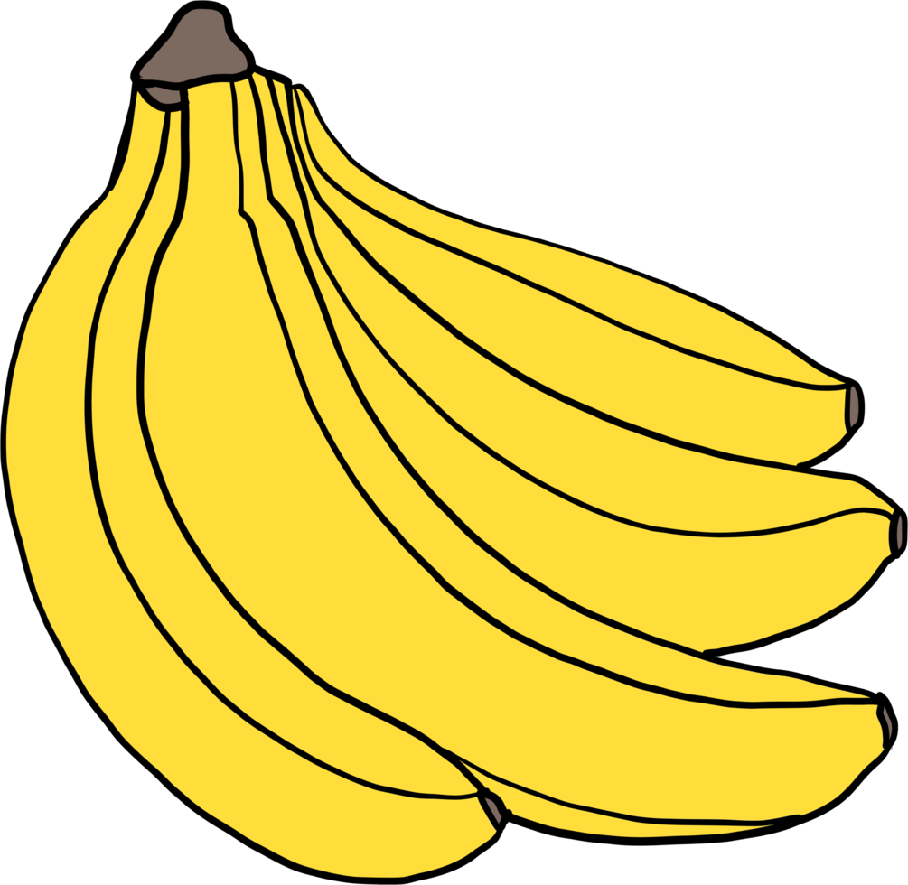 oodle freehand sketch drawing of banana fruit. png