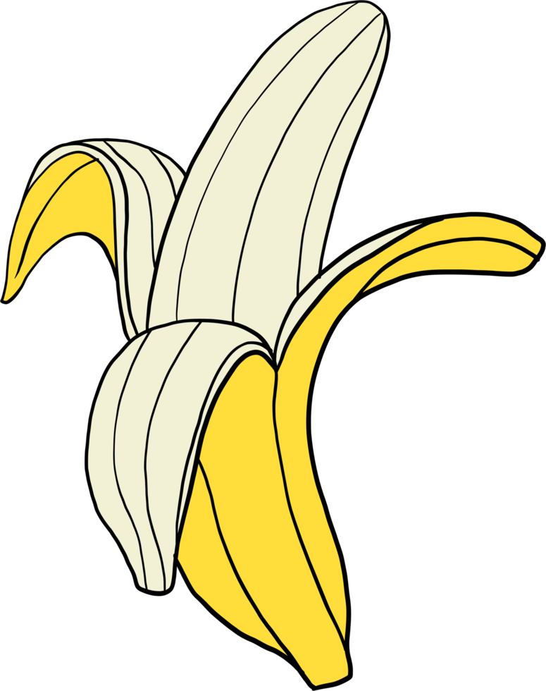 oodle freehand sketch drawing of banana fruit. png