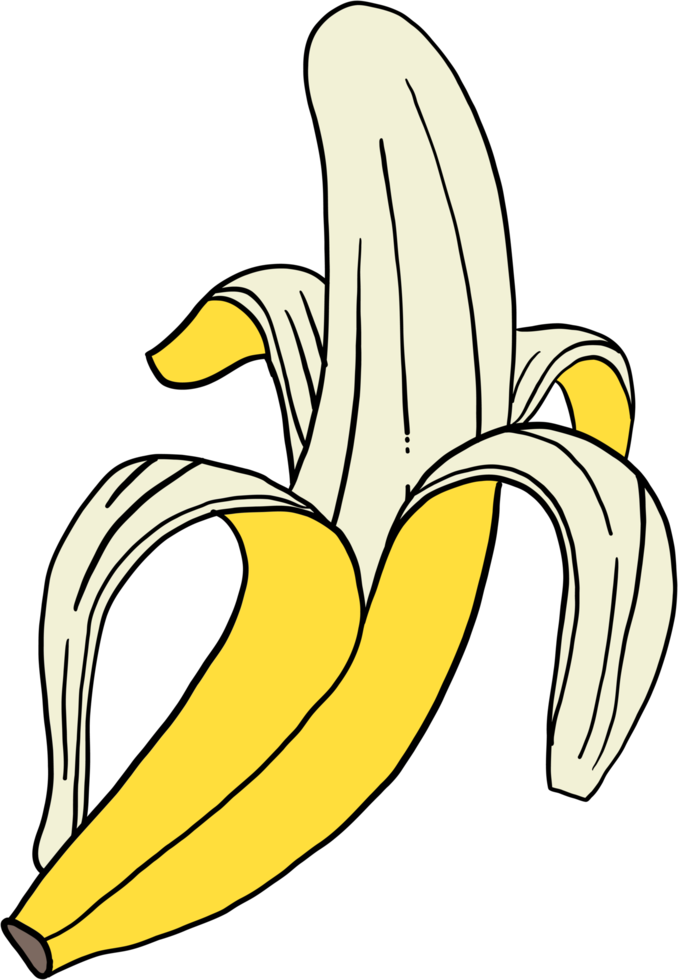 oodle freehand sketch drawing of banana fruit. png