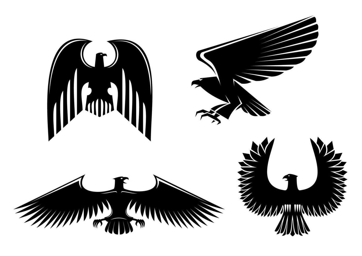 Eagle and hawk symbol vector