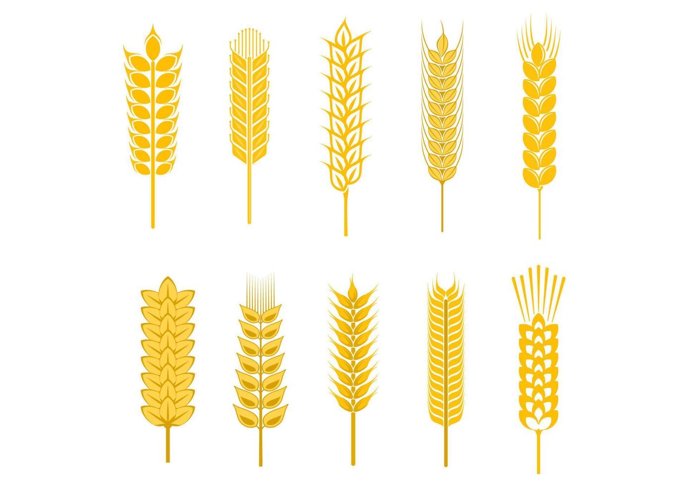 Cereal and wheat spikelets vector