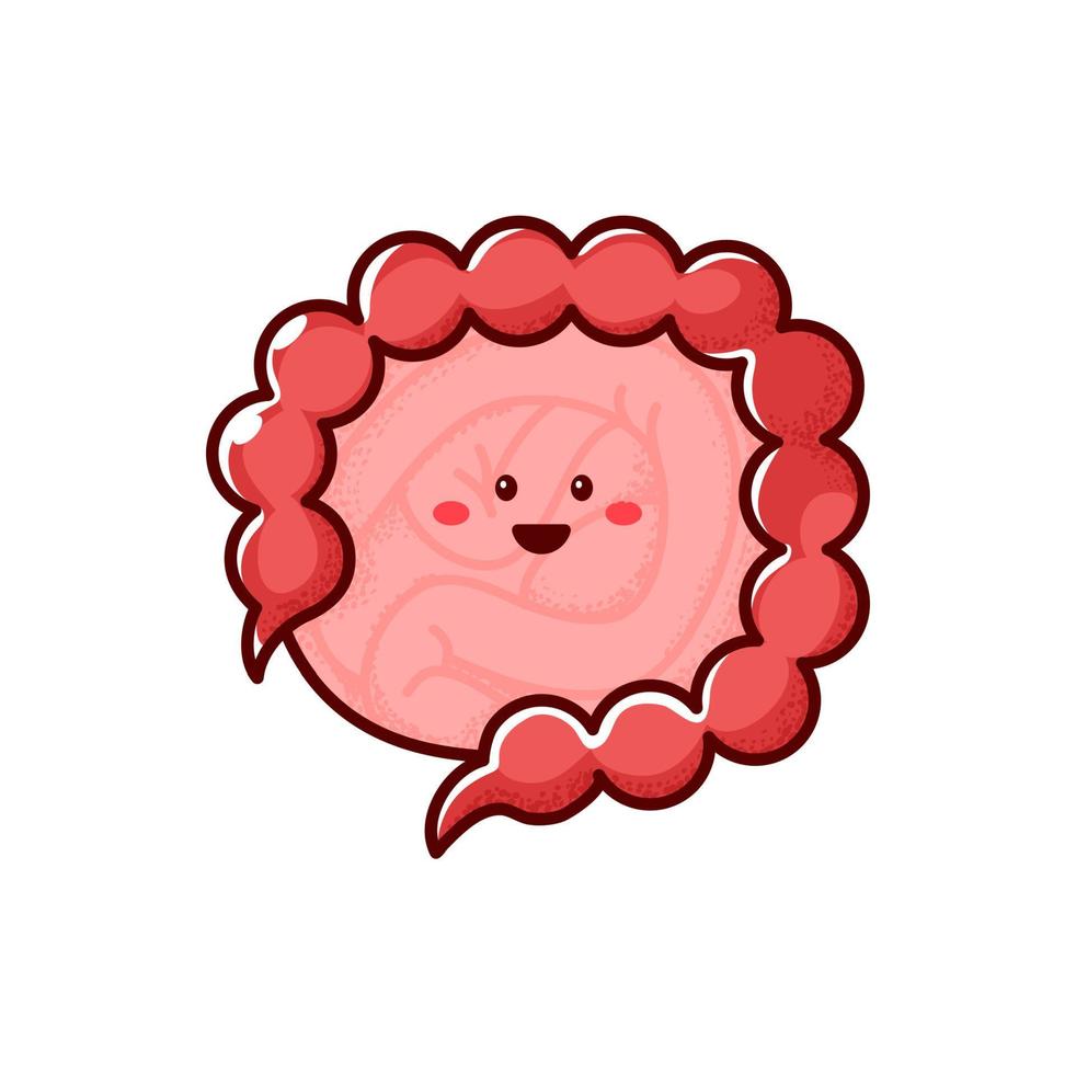Intestine gut cartoon character healthy body organ 11153476 Vector Art at Vecteezy Intestine gut cartoon character healthy body organ 11153476 Vector Art at Vecteezy