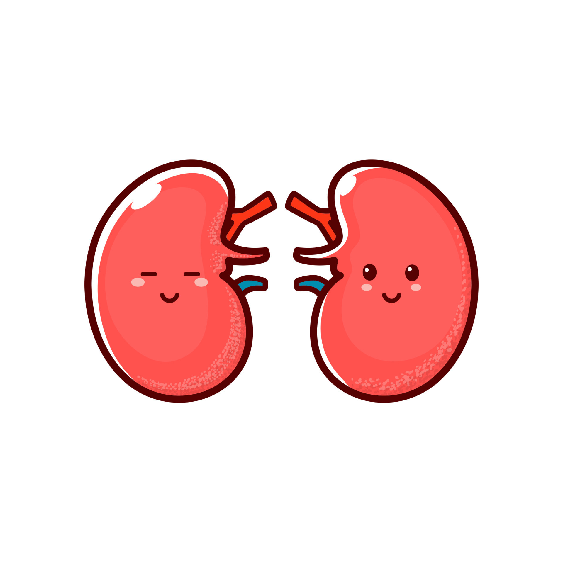 Happy smiling healthy kidneys, cartoon character 11153492 Vector Art at Vecteezy Happy smiling healthy kidneys, cartoon character 11153492 Vector Art at Vecteezy