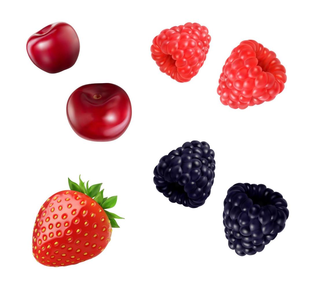 Strawberry, raspberry, cherry and blackberry berry vector