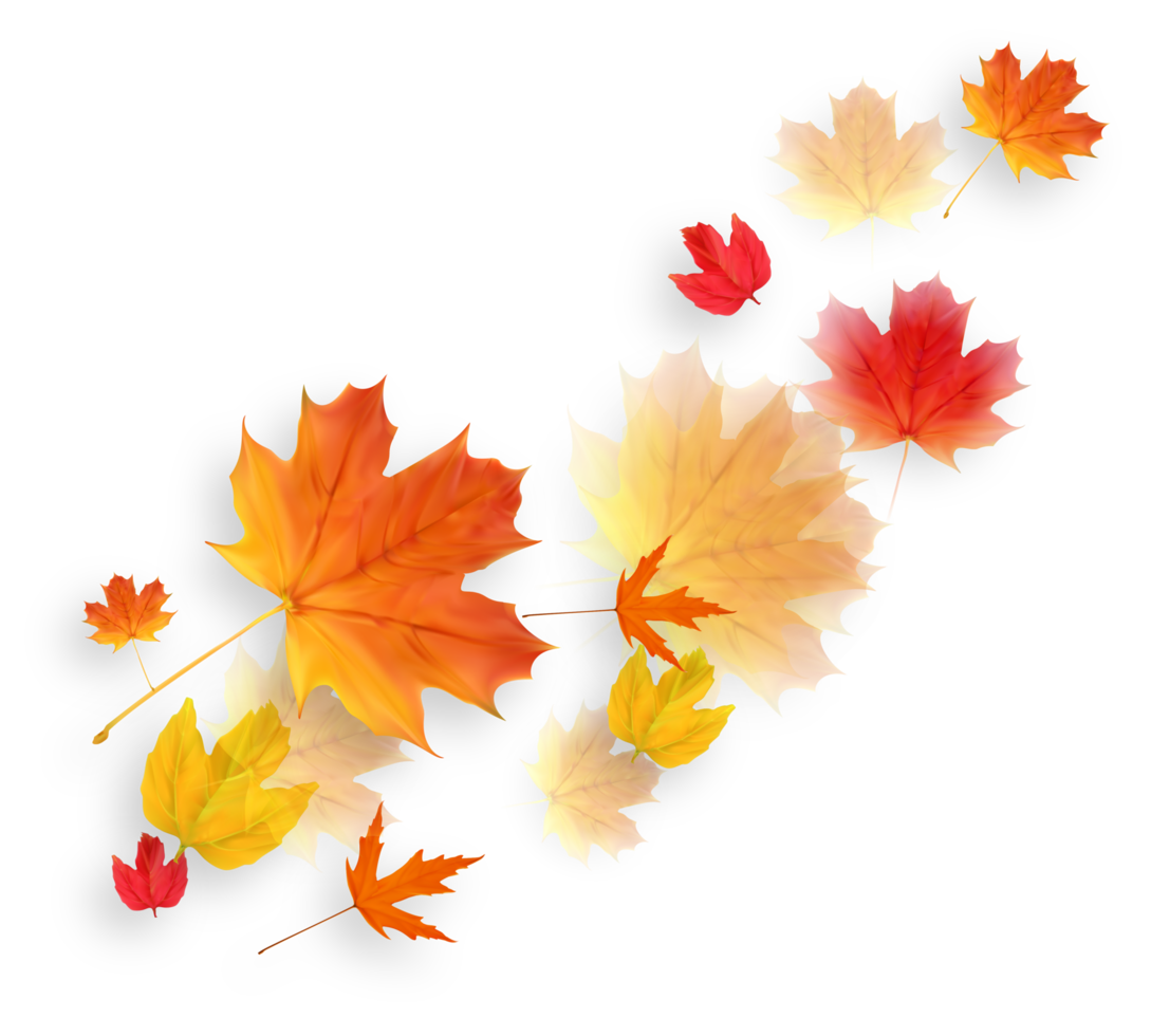 autunno caduta le foglie decorazione elemento png