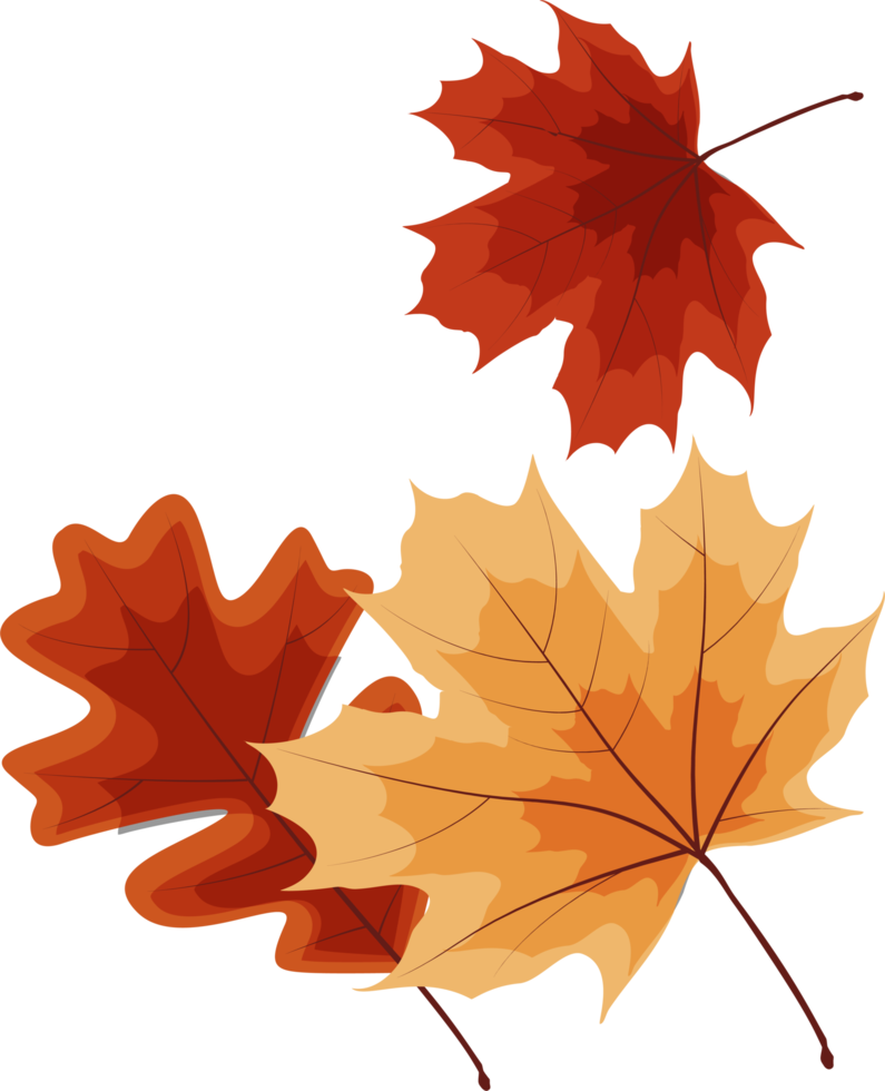 Autumn Falling Leaves Decoration Element png