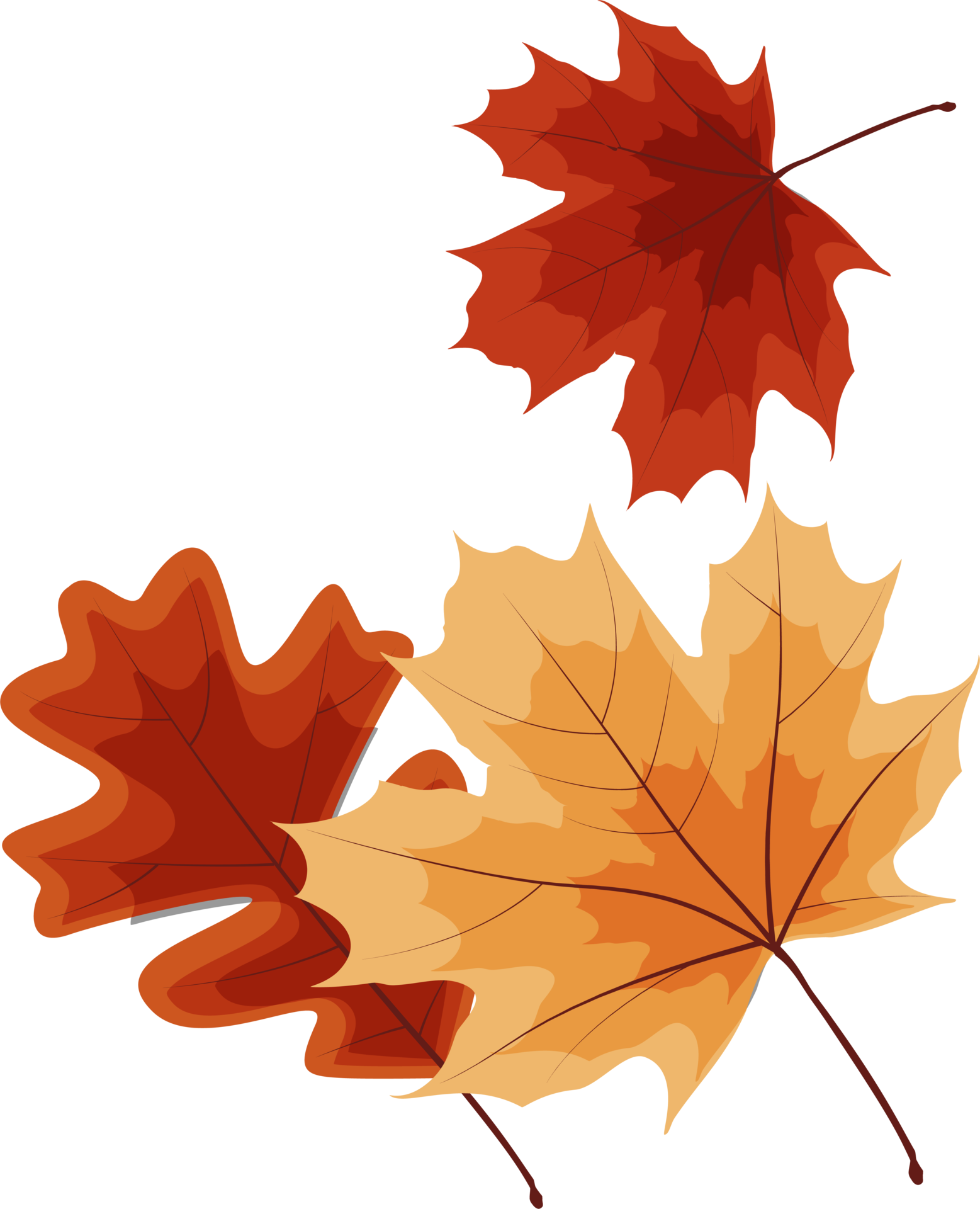 fall leaf clipart no background