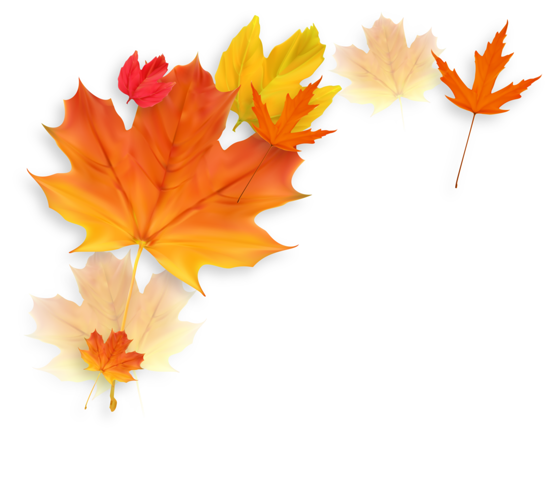 Autumn Falling Leaves Decoration Element png