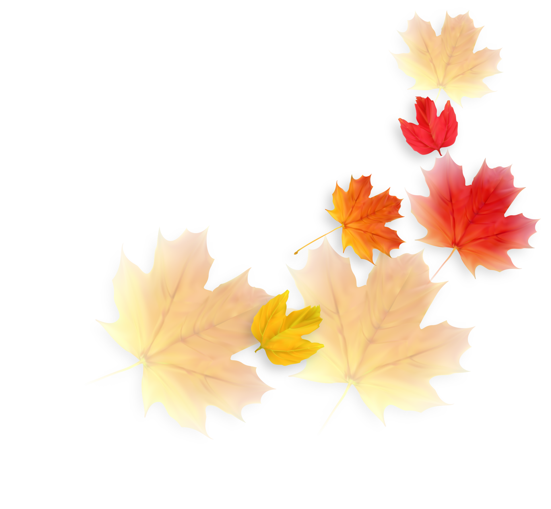 Autumn Falling Leaves Decoration Element 11154222 PNG