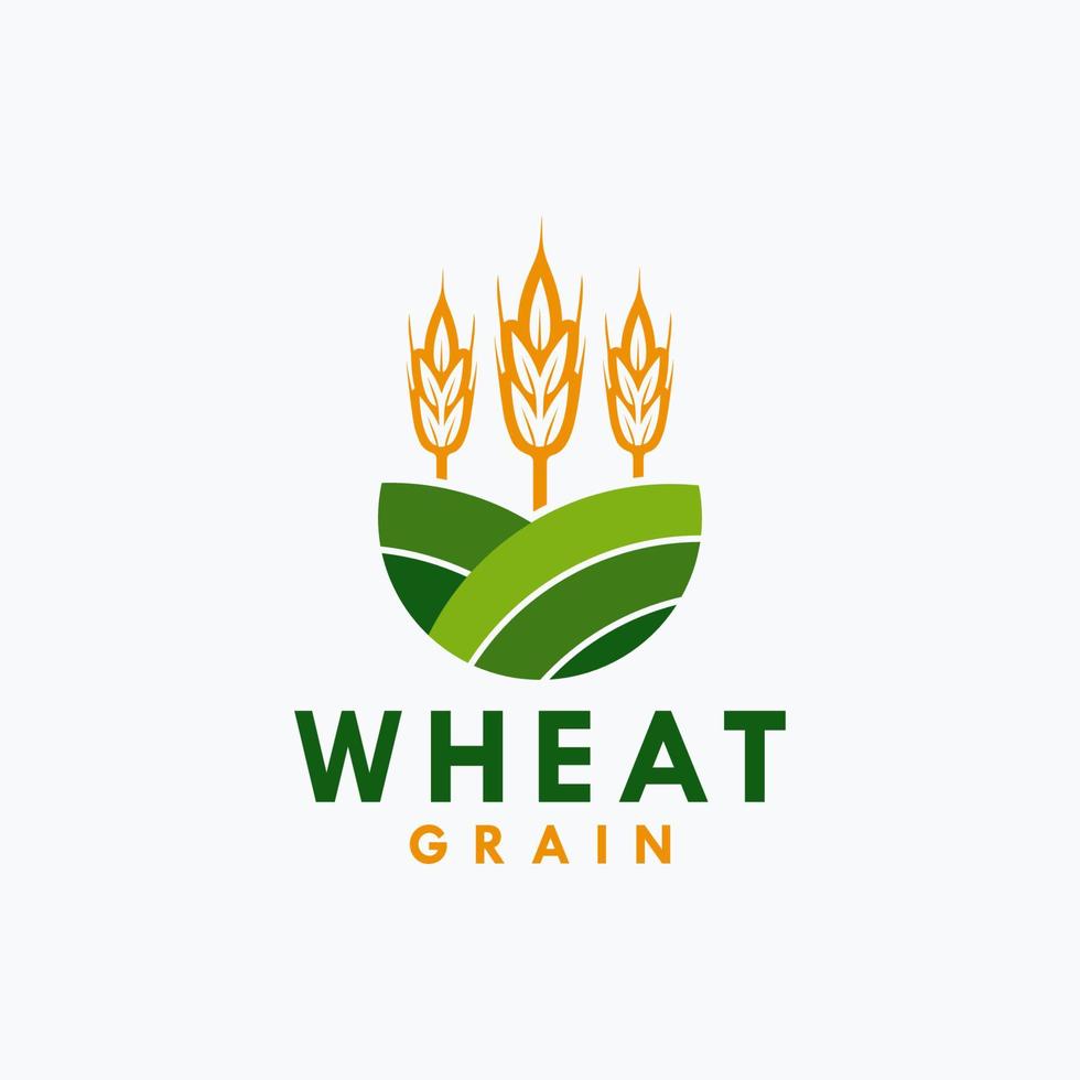 Agriculture wheat grain vector icon design