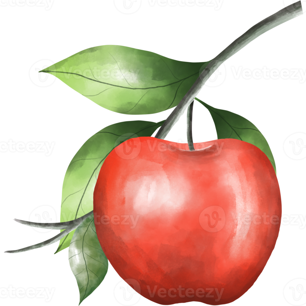 äpple frukt png