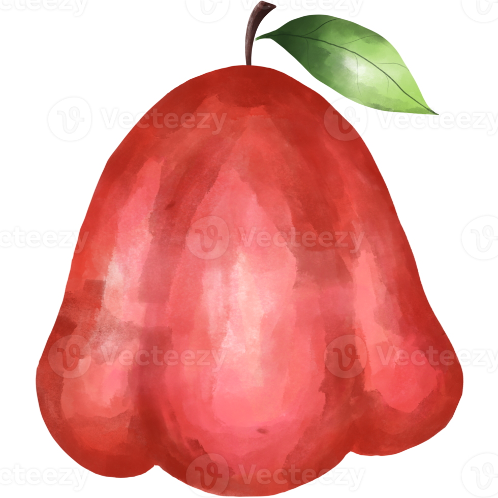 rose apple png