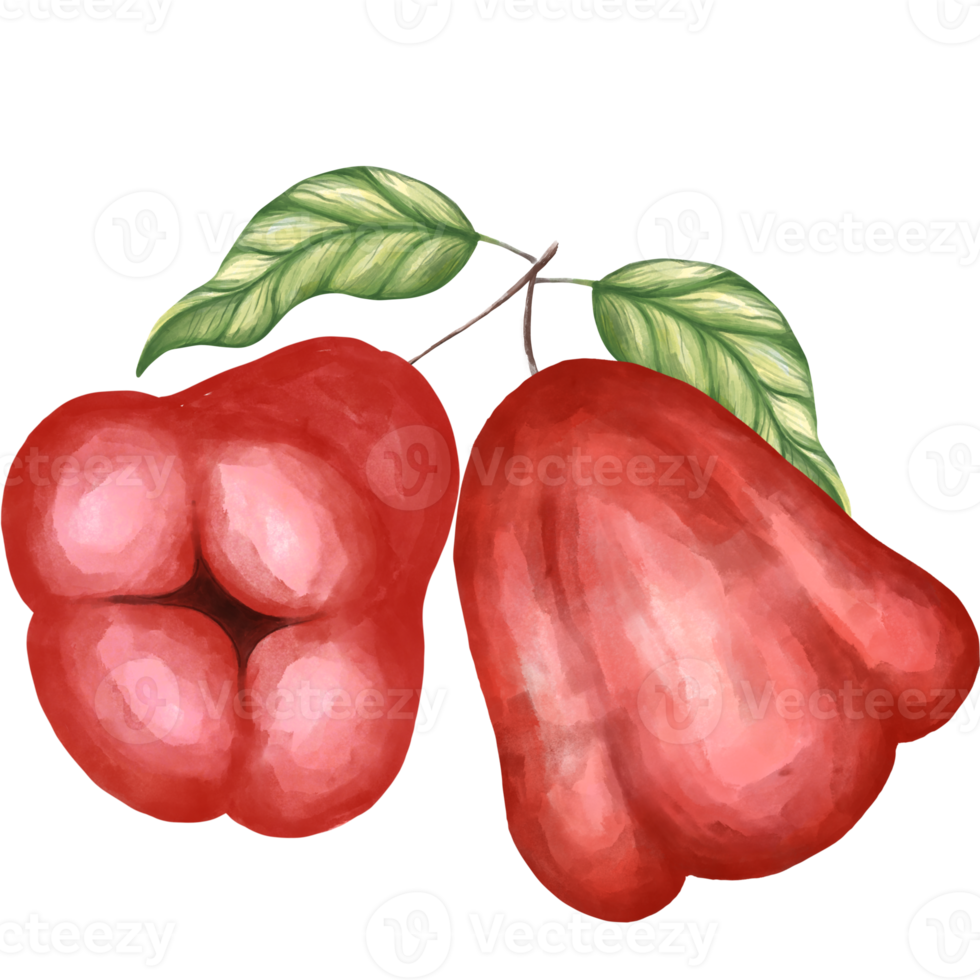 rose apple png