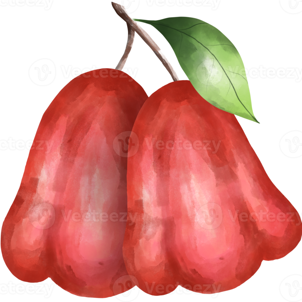 rose apple png