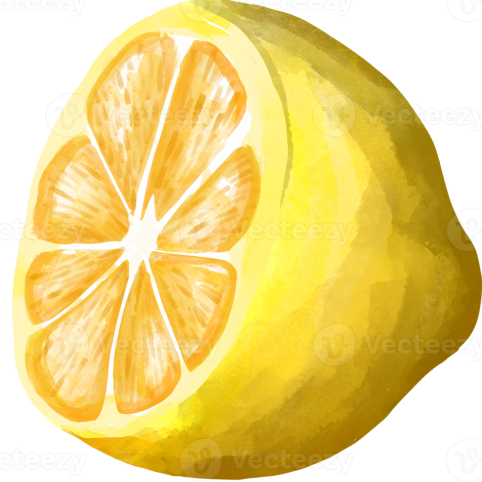 Lemon and leave png