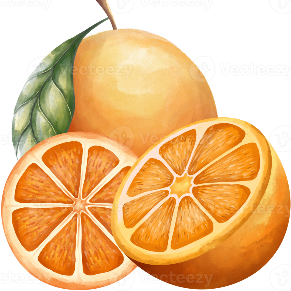 Fruta Laranja PNG