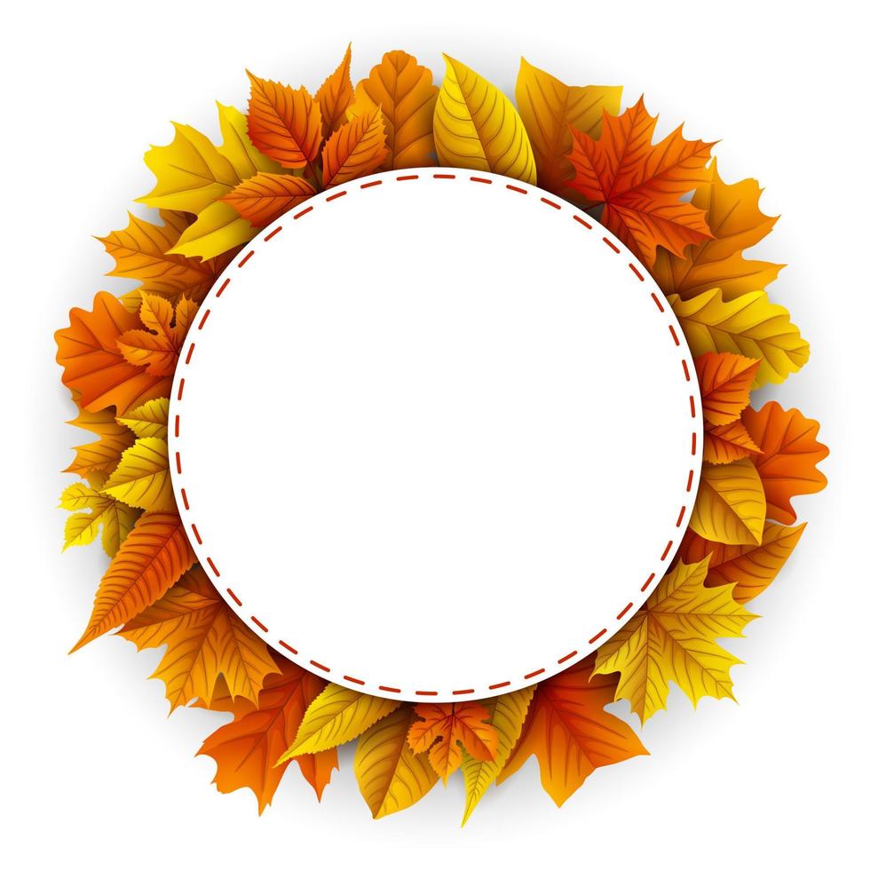 Autumn leaves background vector