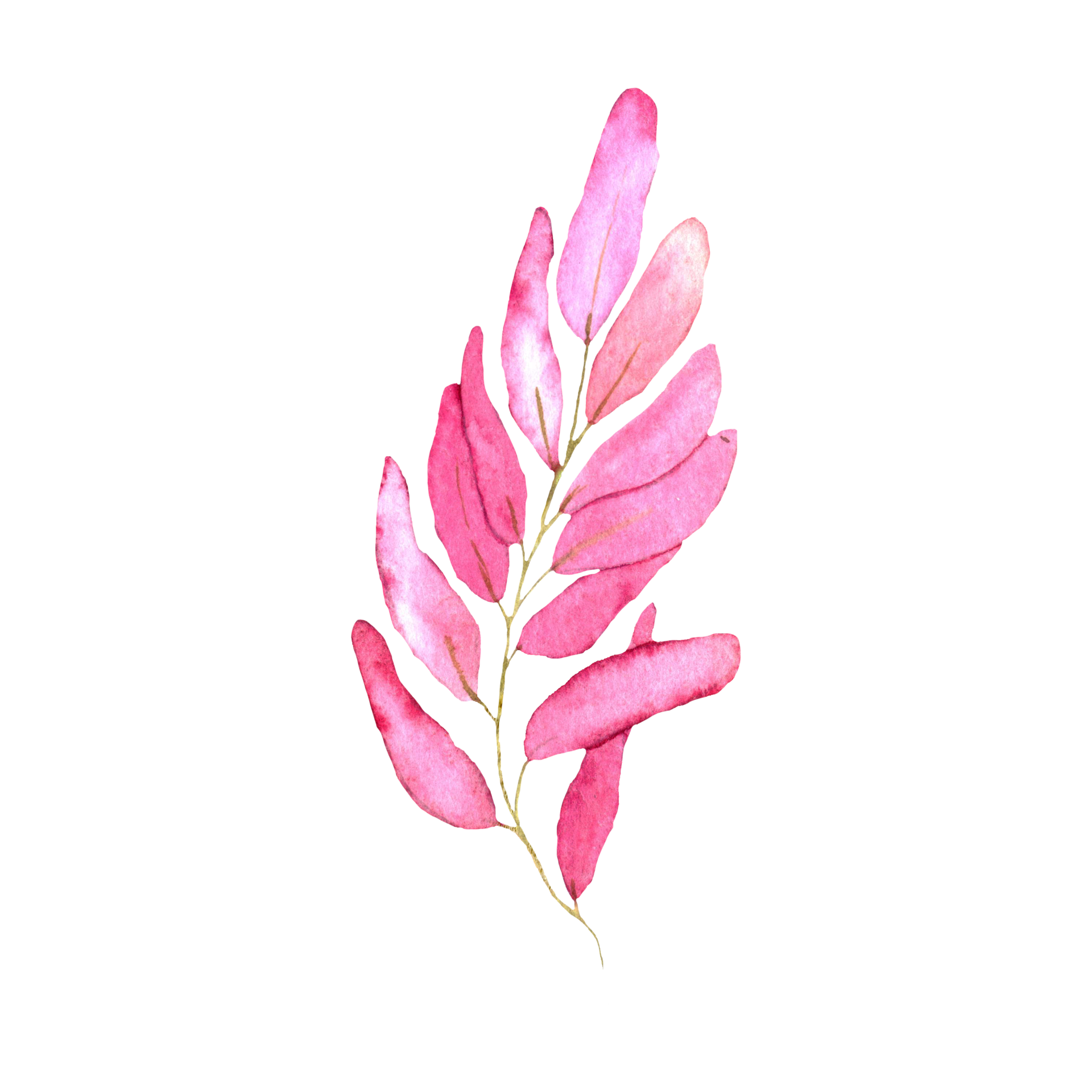 Master The Perfect Pink & Leaf Green In Bg3! - wcnxkwn