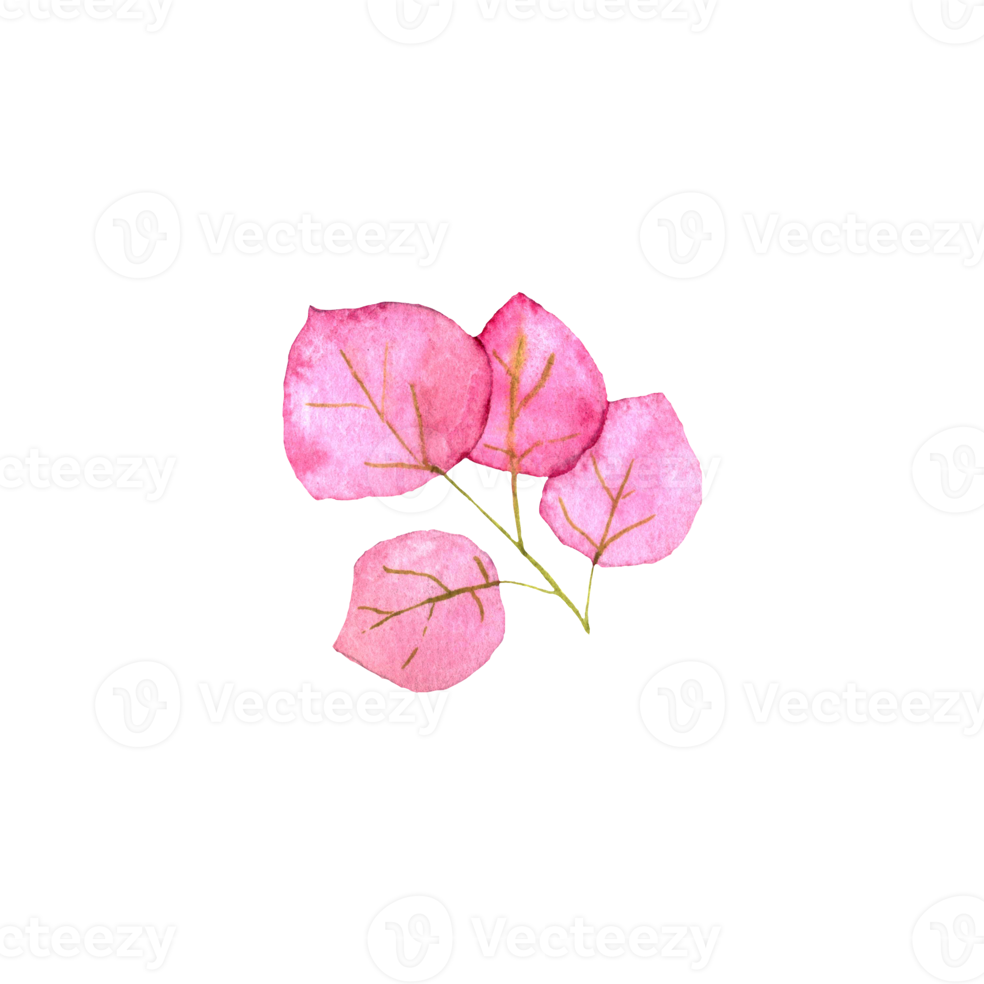 Master The Perfect Pink & Leaf Green In Bg3! - wls3acv