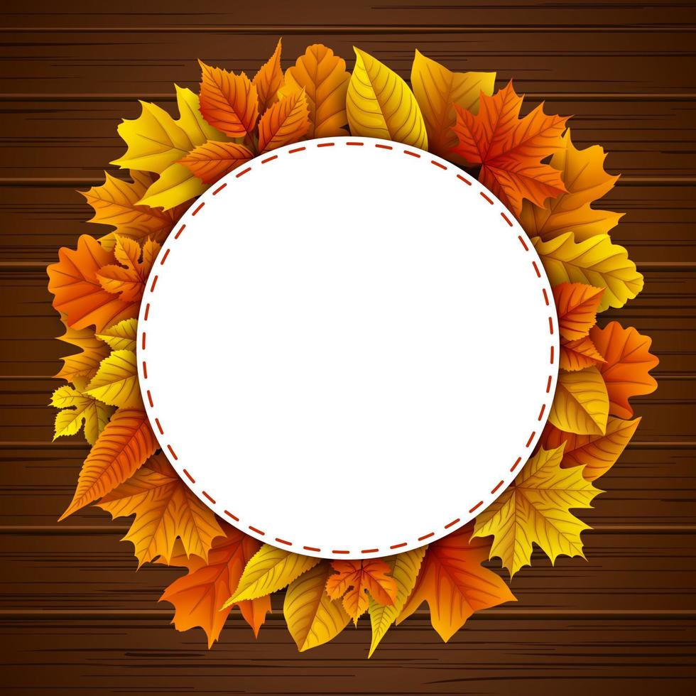 Autumn leaves background vector