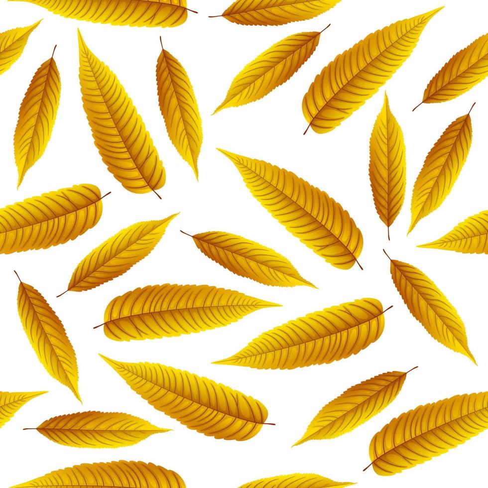 Autumn leaves background vector