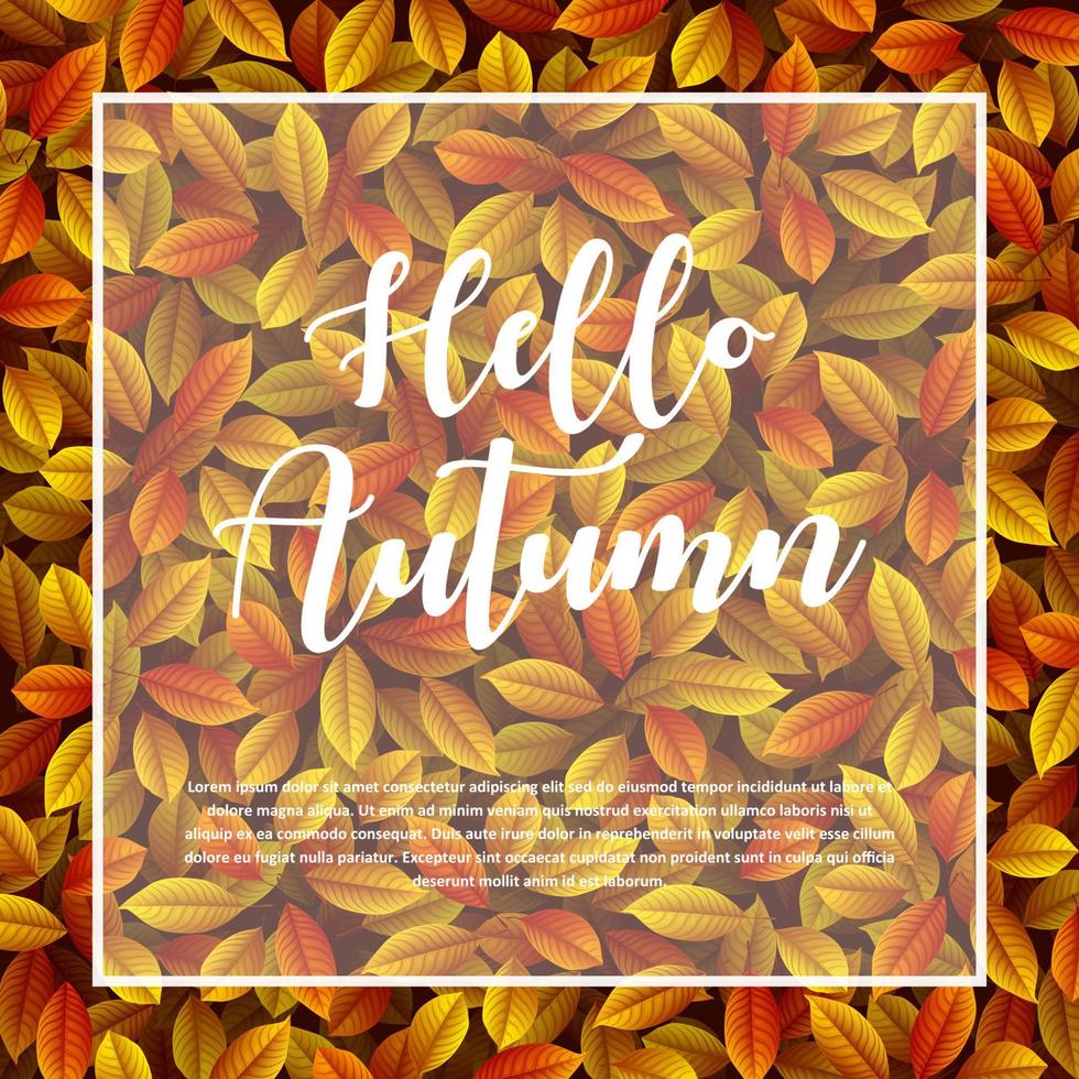 Autumn leaves background vector