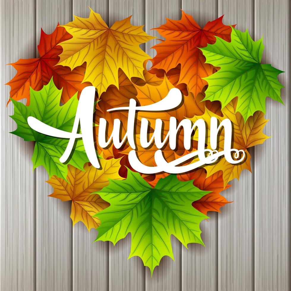 Autumn leaves background vector