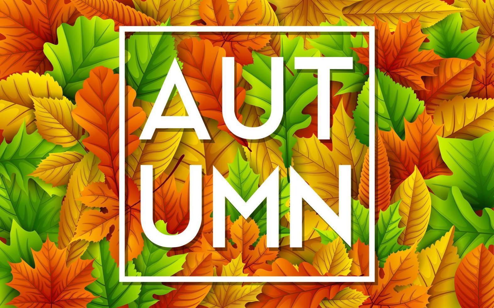 Autumn leaves background vector