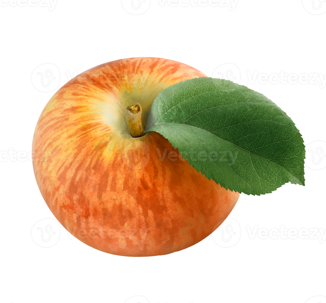 apple with leaf png