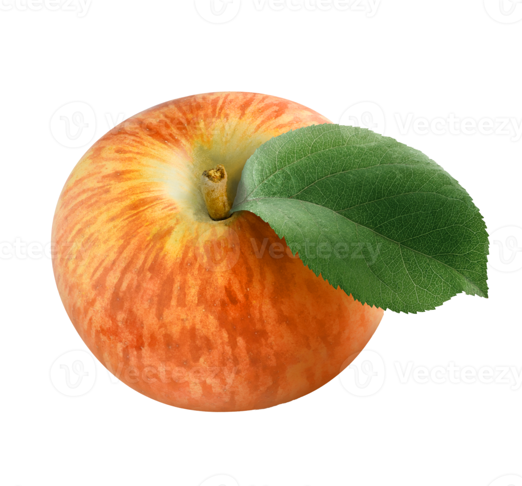 pomme avec feuille png