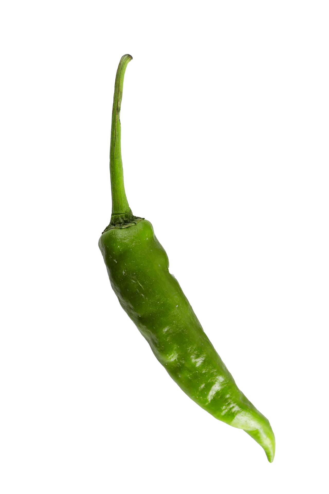ají verde 11155317 PNG