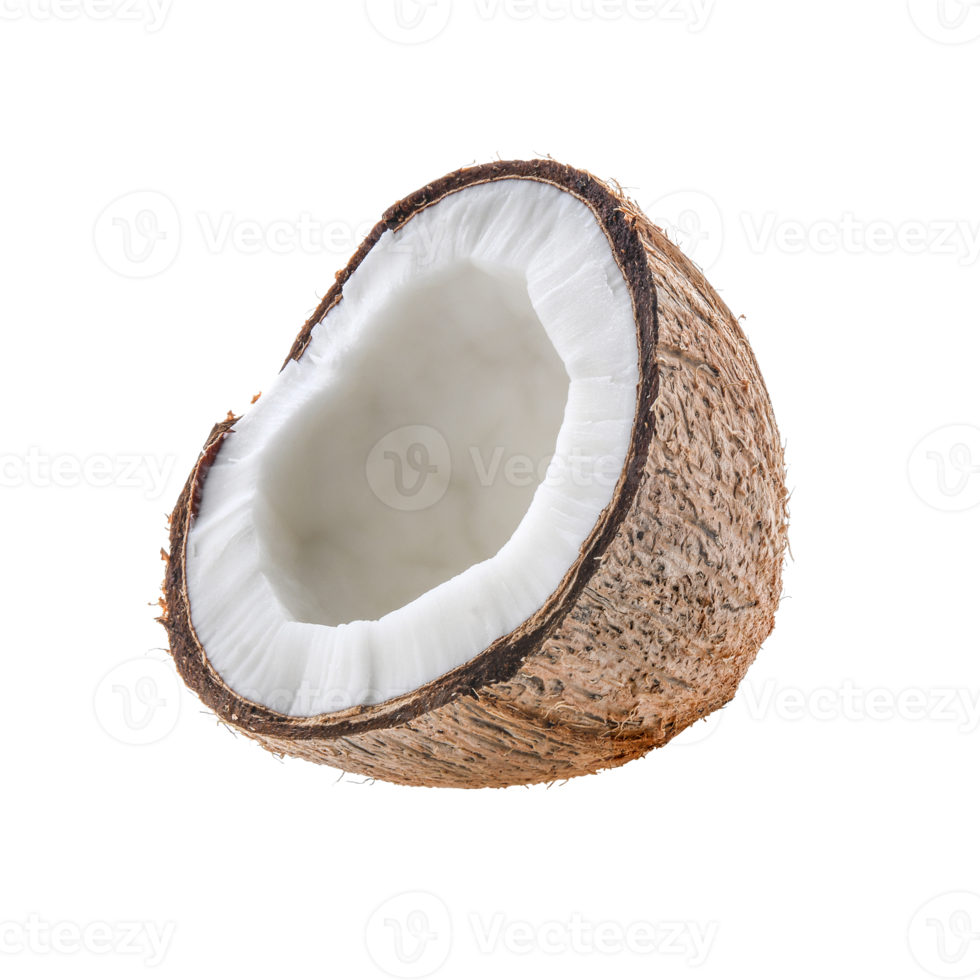 brown coconut isolated png
