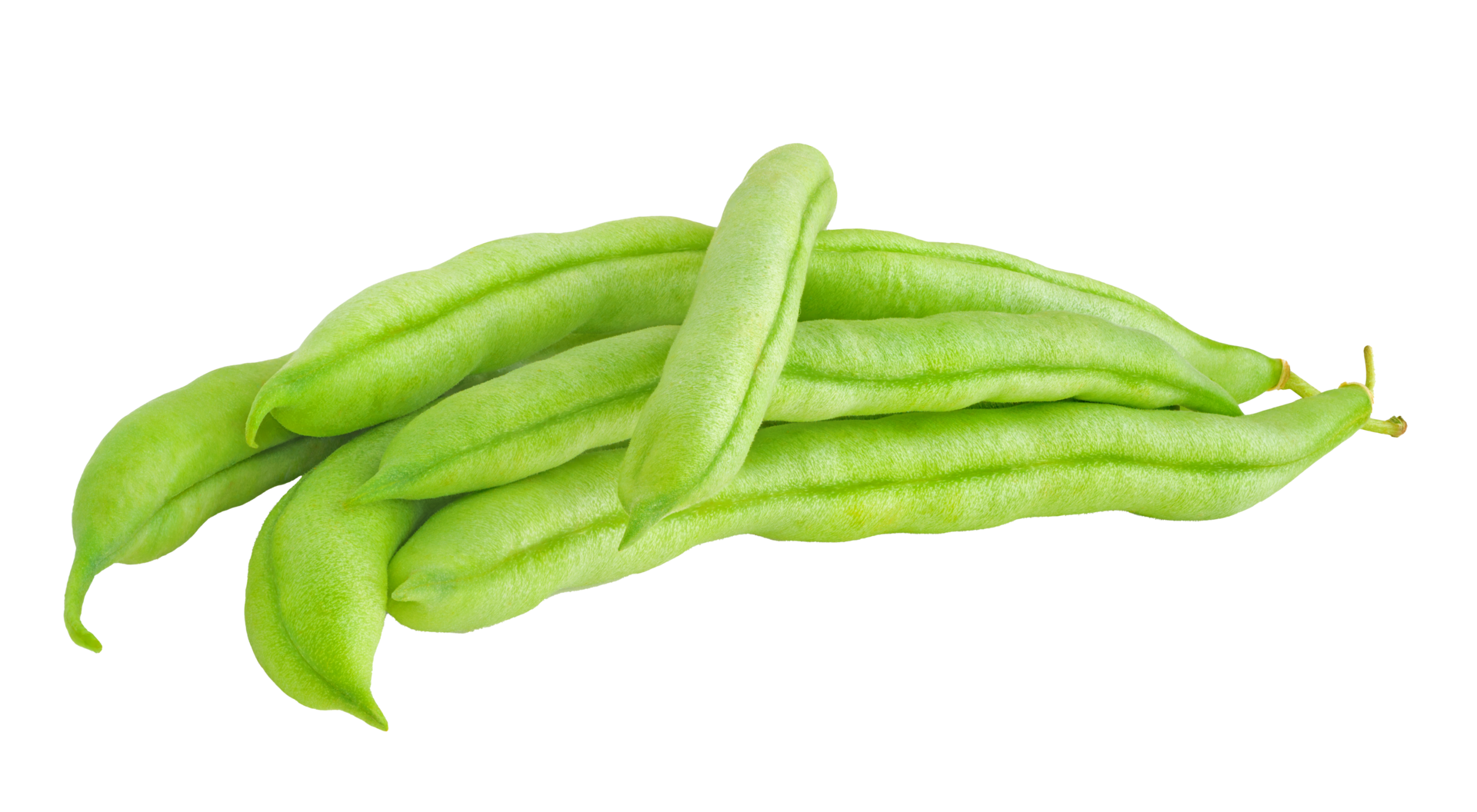 green beans isolated 11155326 PNG