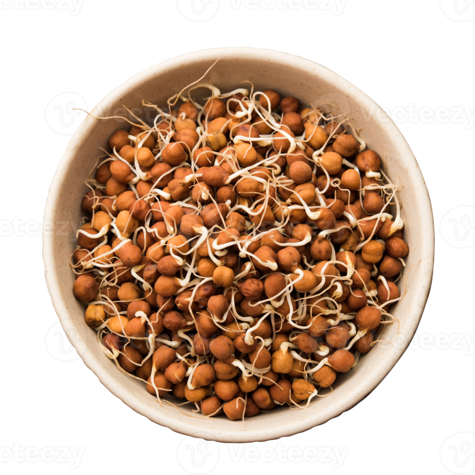 seeds in a bowl png
